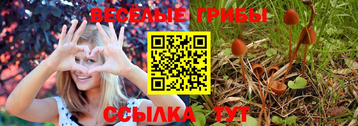 Обнинск  Галлюциногенные грибы мухоморы  Вход с VPN 
